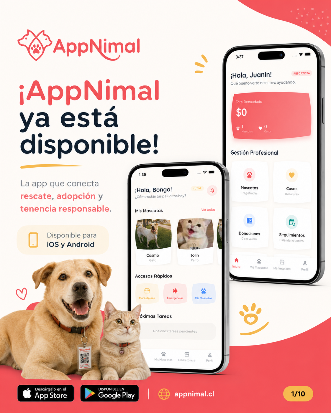 Lanzamiento AppNimal