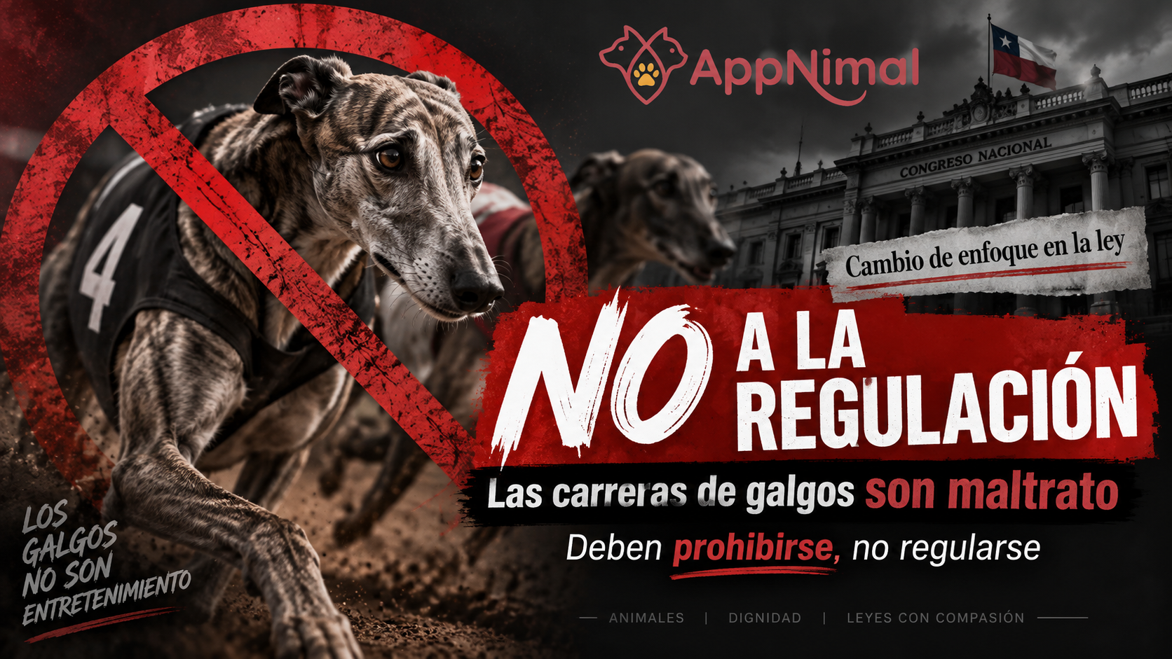 REGULAR EL MALTRATO NO ES PROTEGER: LAS CARRERAS DE GALGOS DEBEN PROHIBIRSE