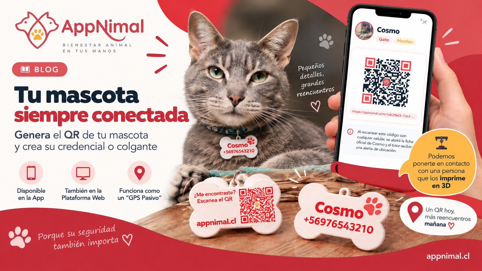 Tu mascota siempre conectada: genera su QR de identificación en AppNimal