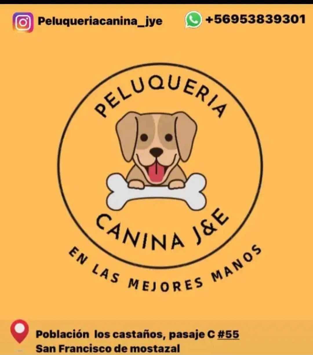 Peluquería canina jye