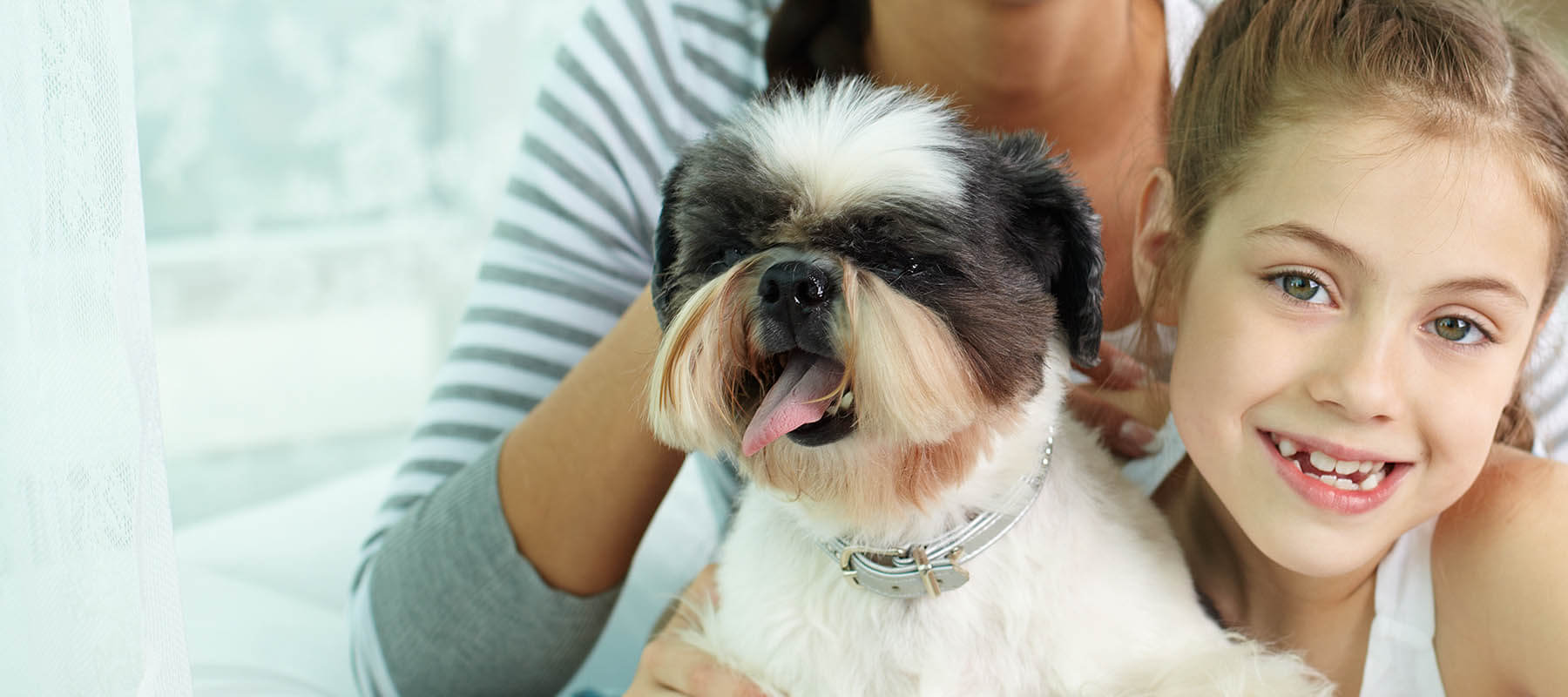 Directorio animalista